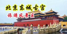 36D动漫美女被爆操中国北京-东城古宫旅游风景区